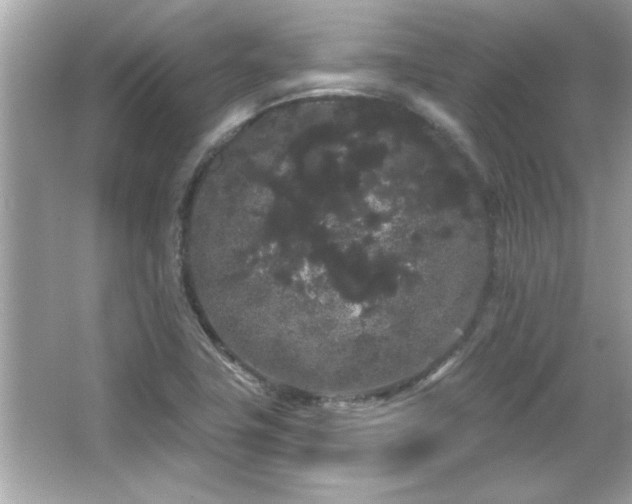 X0000066091411200603101154