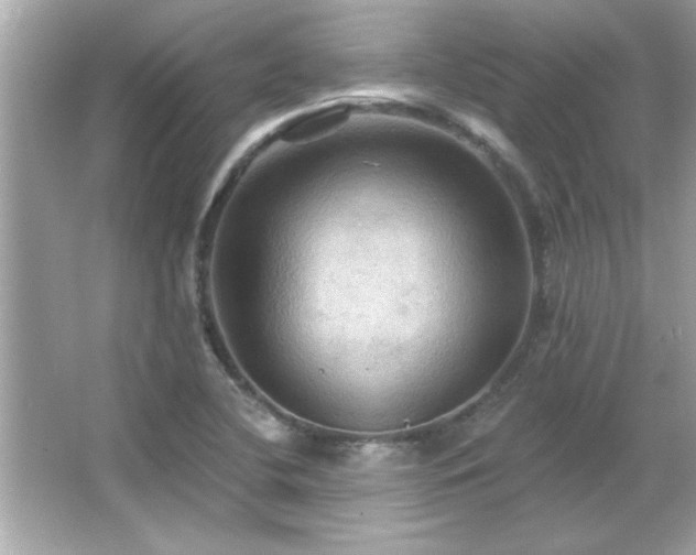 X0000066091412200603101154