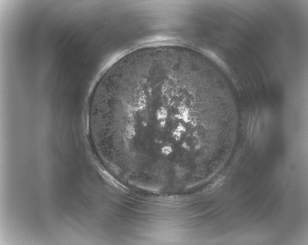 X0000066091413200603101154