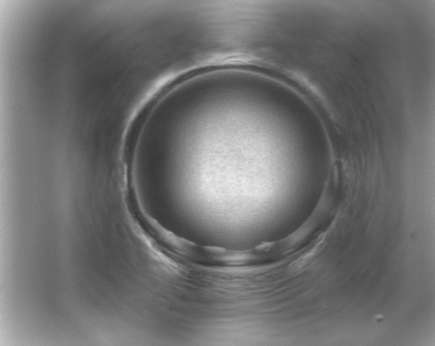 X0000066091414200603101154