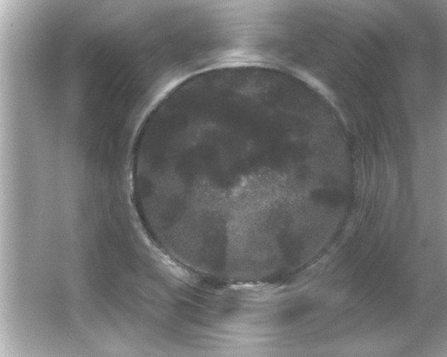 X0000066091415200603101154