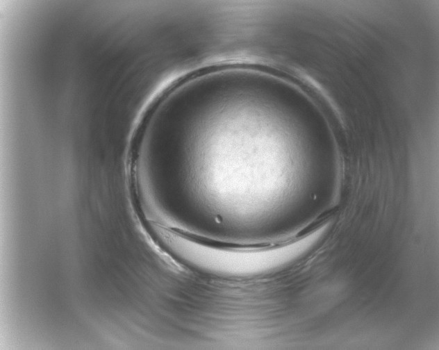 X0000066091416200603101154