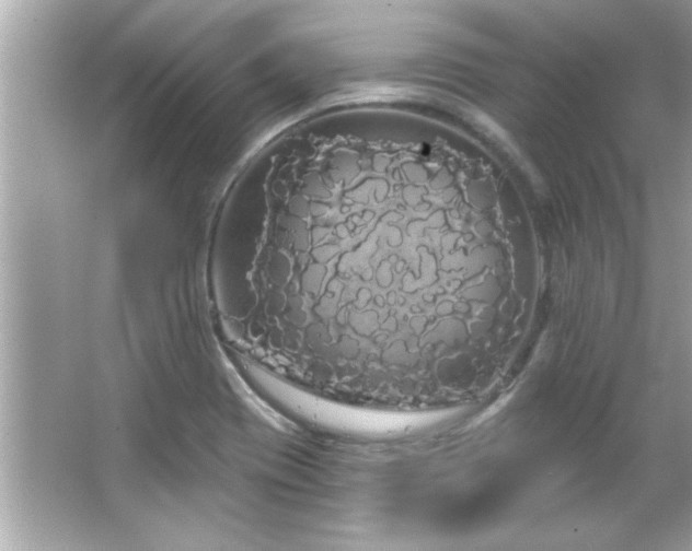 X0000066091417200603101154