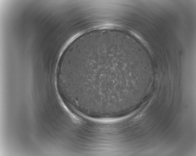 X0000066091418200603101154