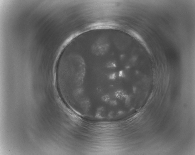 X0000066091419200603101154