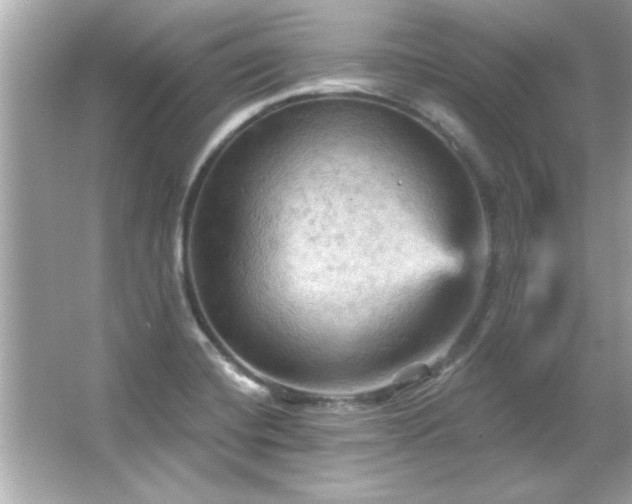 X0000066091420200603101154