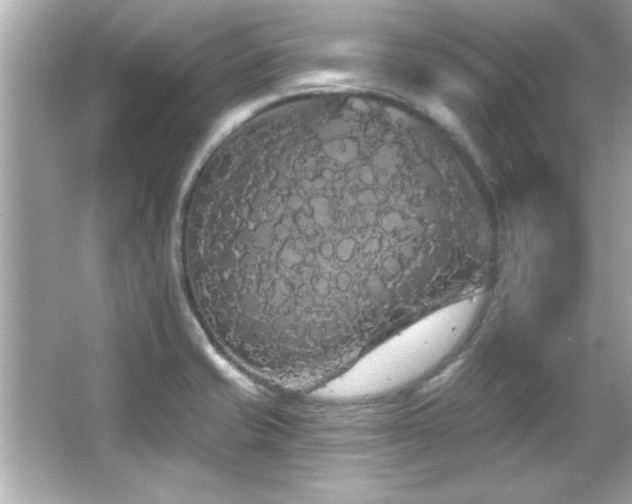 X0000066091421200603101154