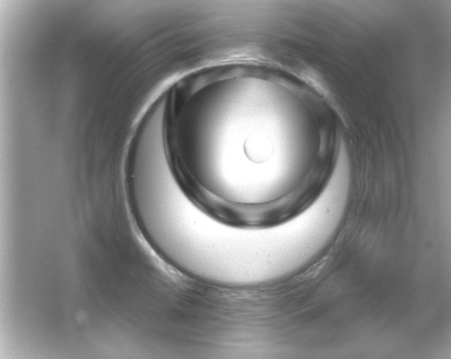 X0000066091422200603101154