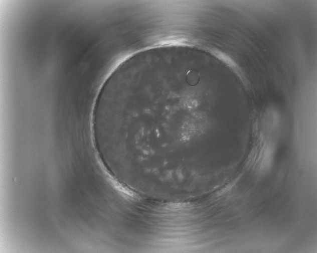 X0000066091423200603101154