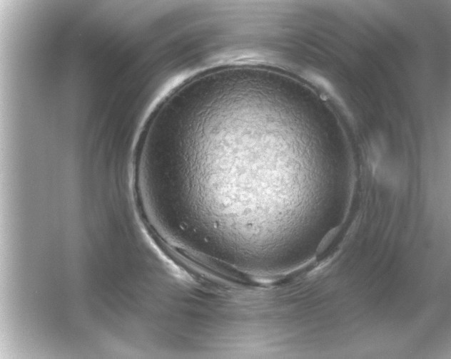 X0000066091424200603101154