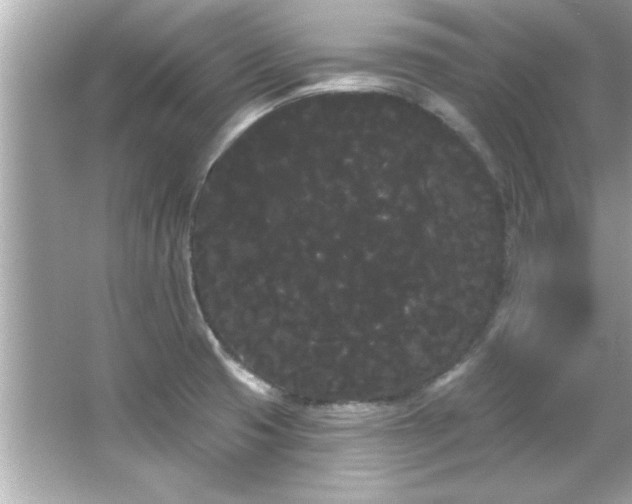 X0000066091425200603101154