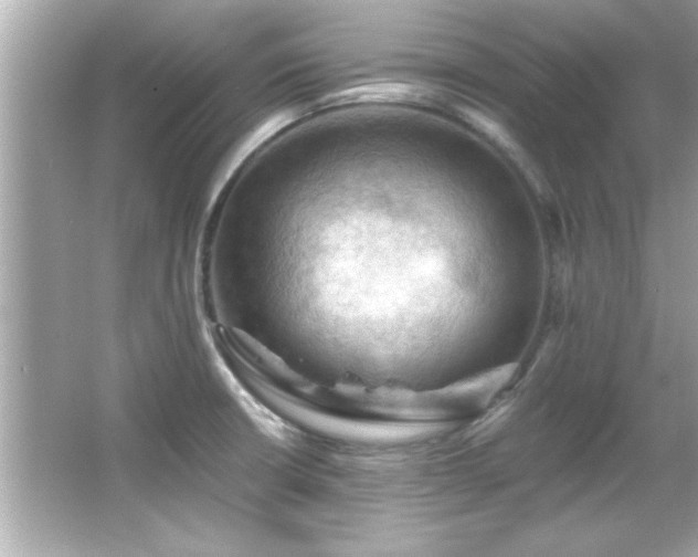 X0000066091426200603101154