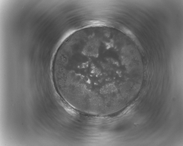 X0000066091427200603101154