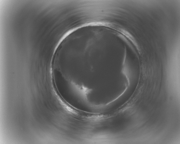 X0000066091428200603101154