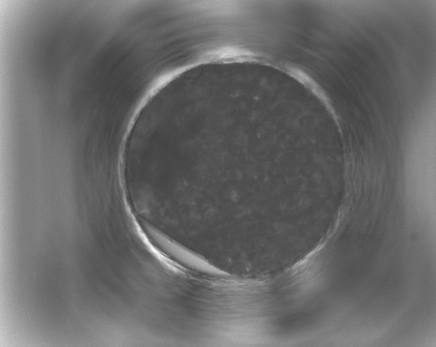 X0000066091429200603101154