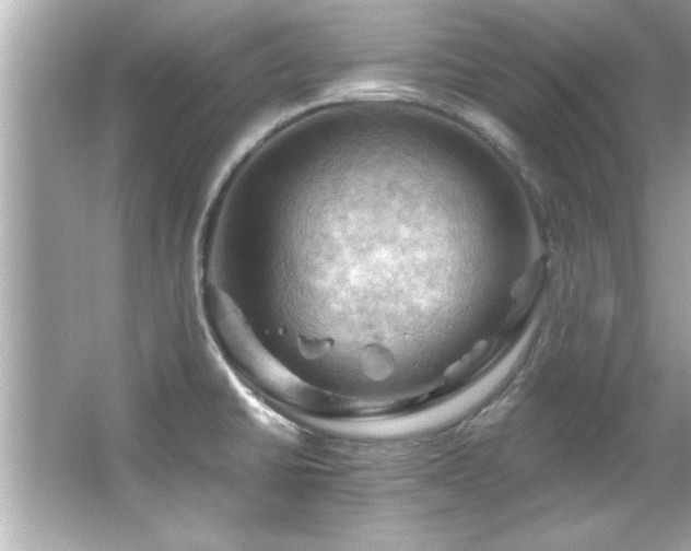 X0000066091430200603101154