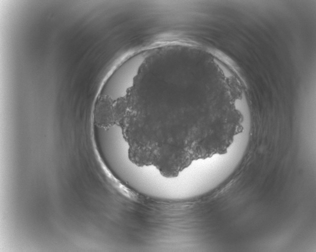 X0000066091431200603101154