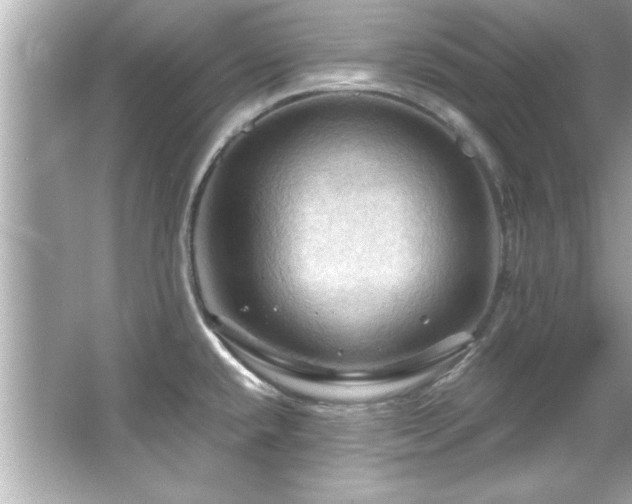 X0000066091432200603101154