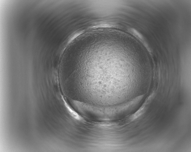 X0000066091433200603101154