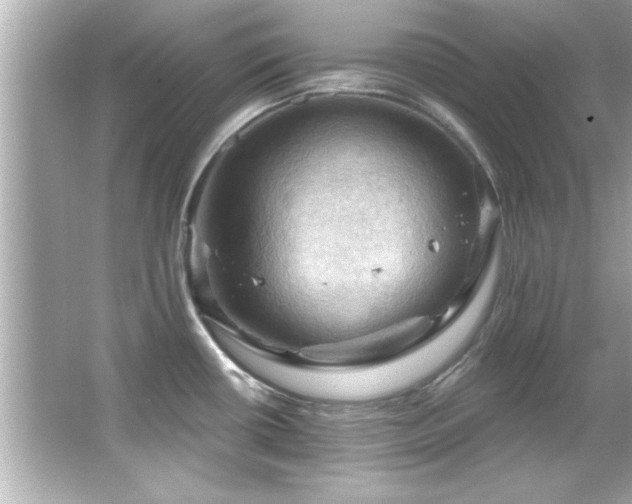 X0000066091434200603101154