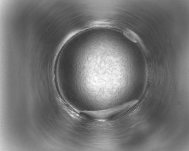 X0000066091435200603101154