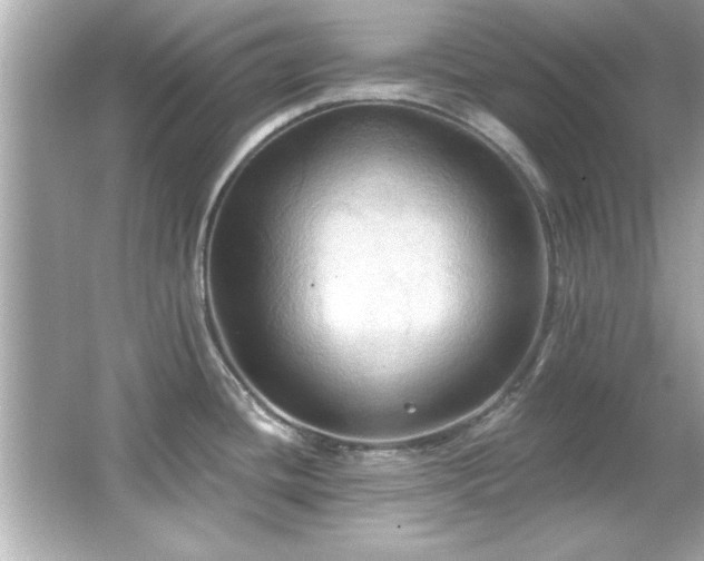 X0000066091436200603101154