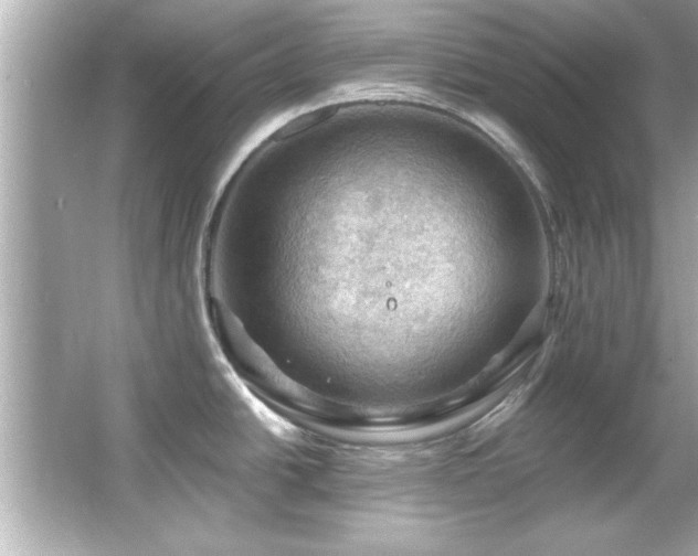 X0000066091438200603101155