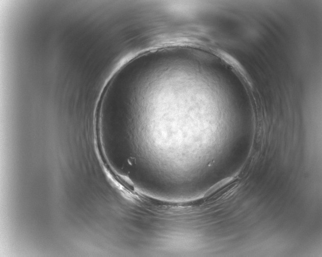 X0000066091439200603101155