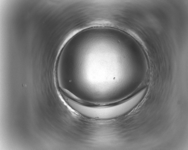 X0000066091440200603101155