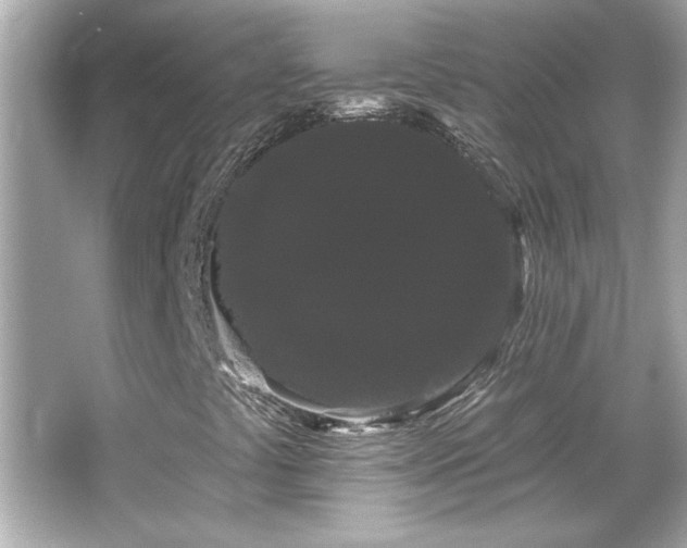 X0000066091441200603101154