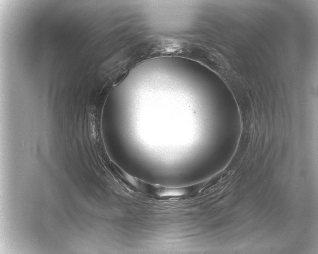 X0000066091442200603101154