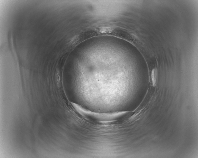 X0000066091443200603101154