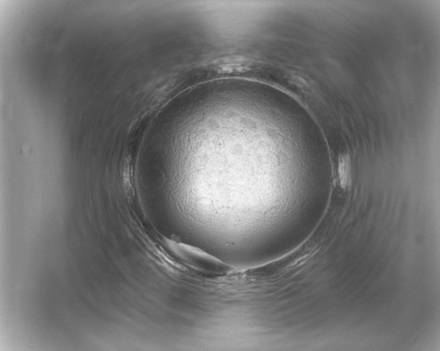 X0000066091444200603101154