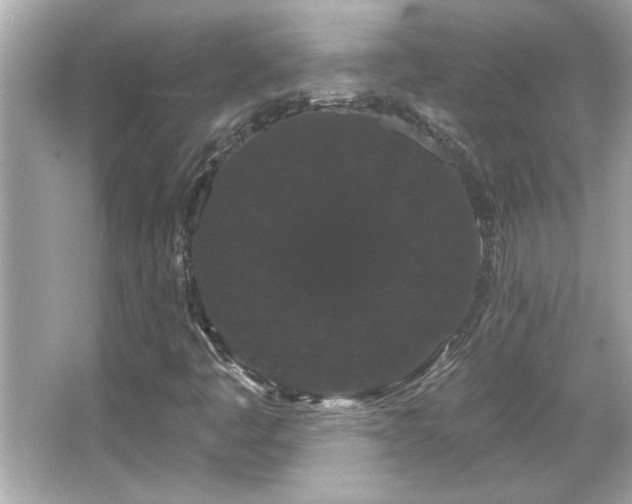 X0000066091445200603101154