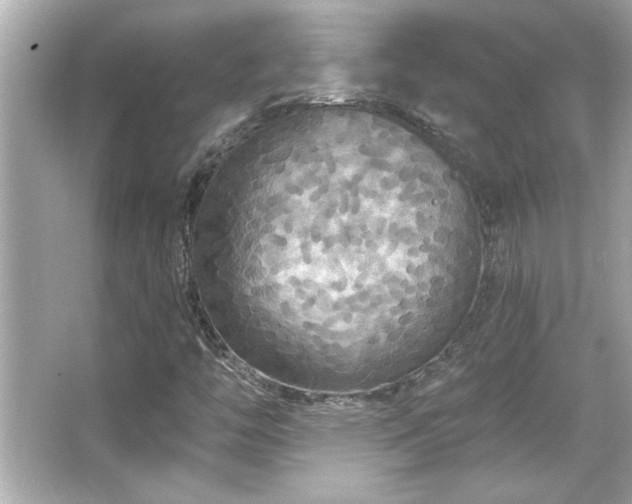 X0000066091446200603101154