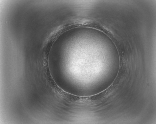 X0000066091447200603101154