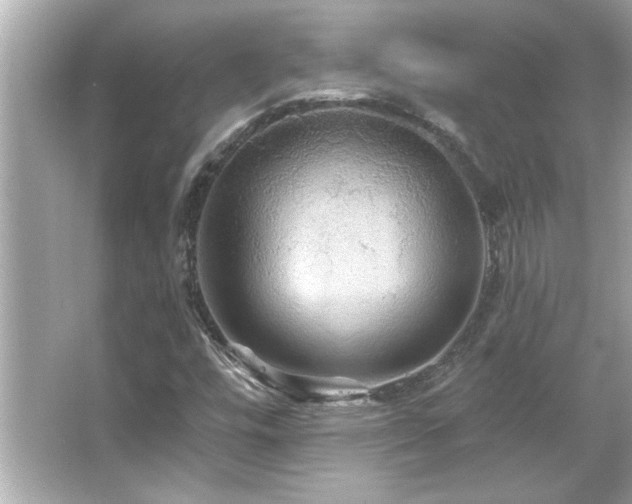 X0000066091448200603101154