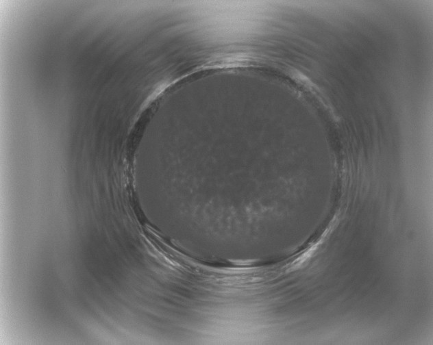 X0000066091449200603101154