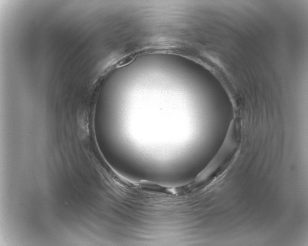 X0000066091451200603101154