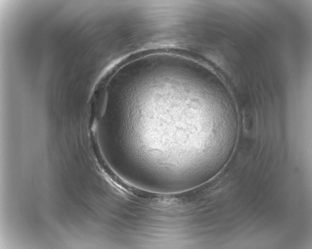 X0000066091452200603101154