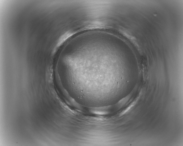 X0000066091453200603101154