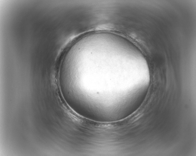 X0000066091454200603101154