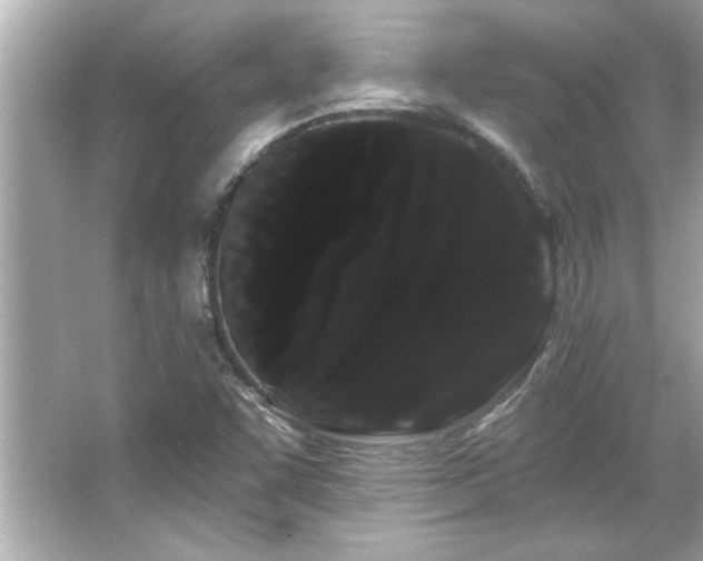 X0000066091455200603101154