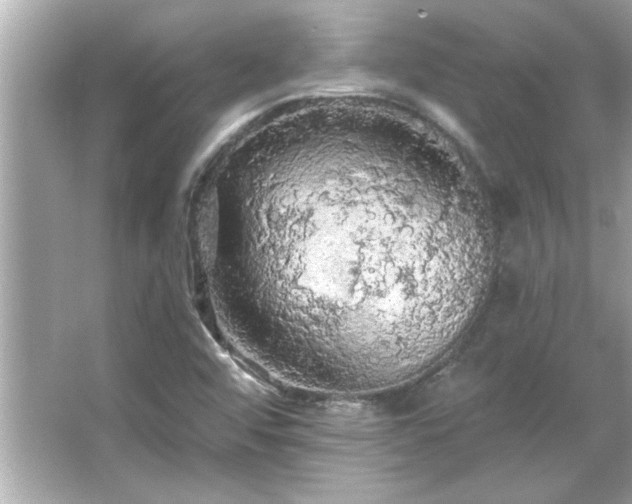 X0000066091456200603101154