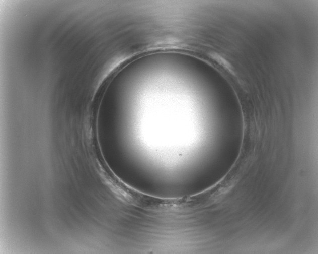 X0000066091458200603101153