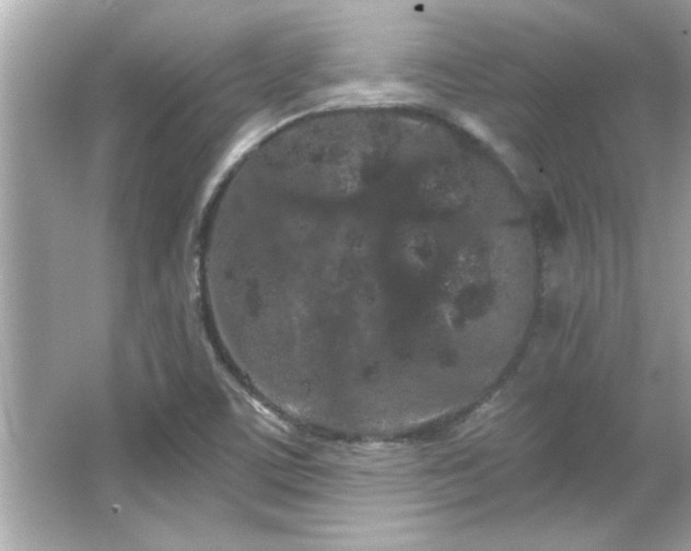 X0000066091459200603101153