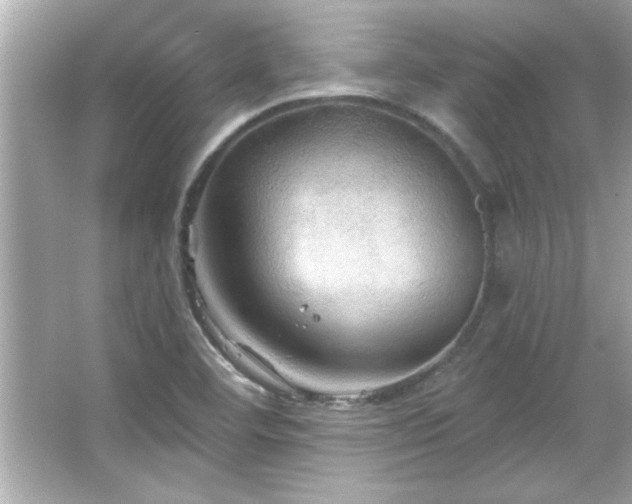 X0000066091460200603101153