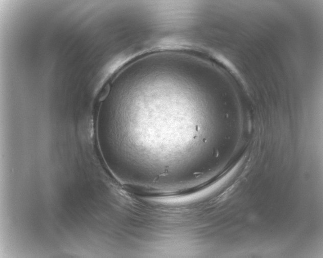 X0000066091461200603101153