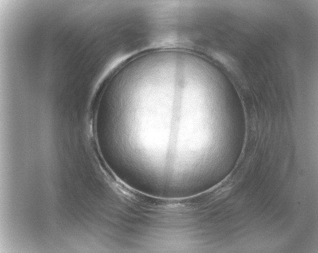 X0000066091462200603101153