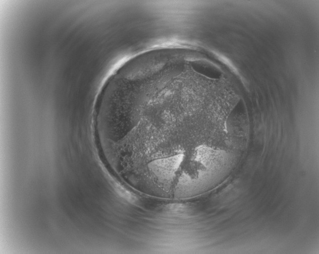 X0000066091463200603101153